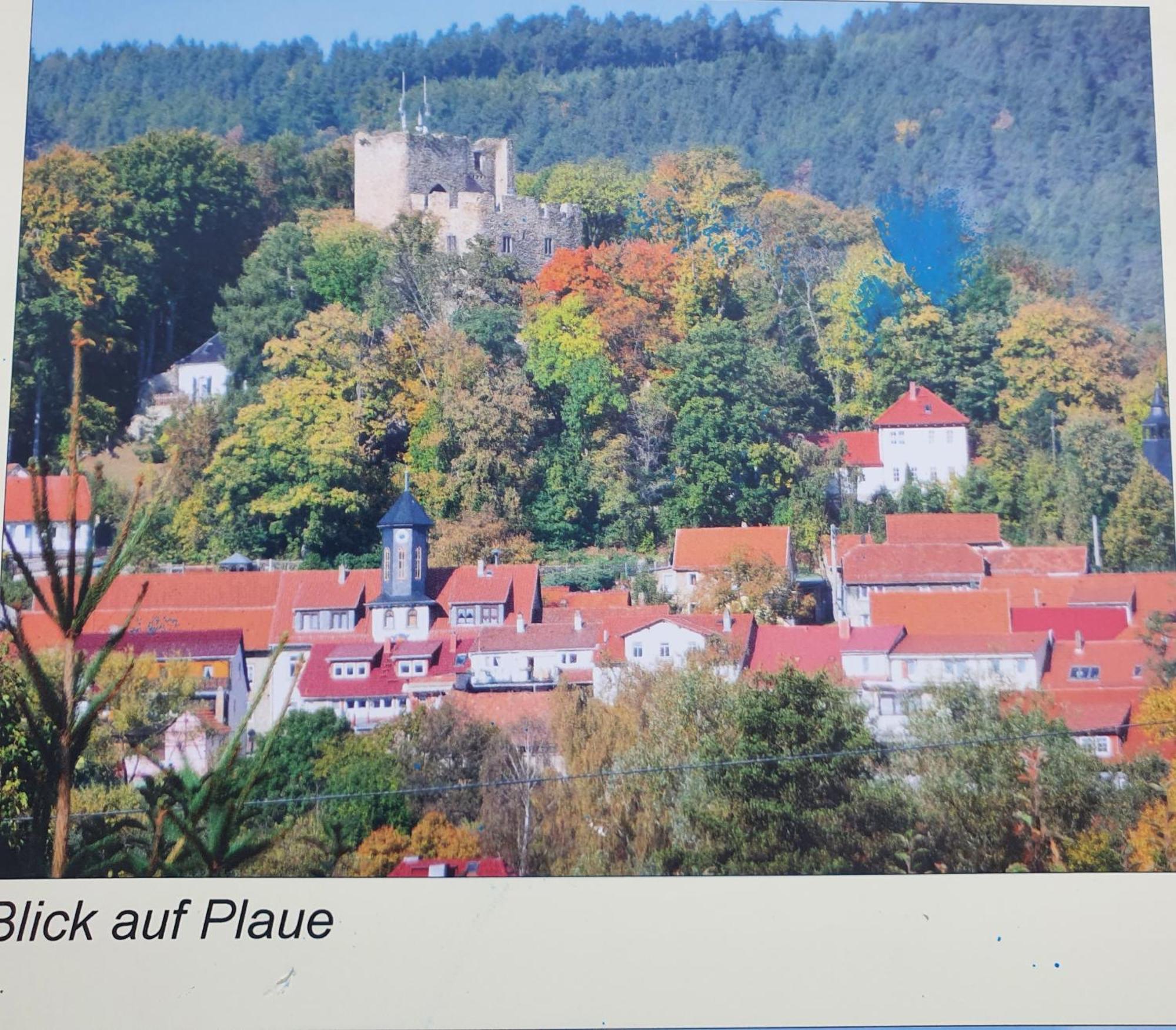 Ferienwohnung Burgblick Plaue  Extérieur photo