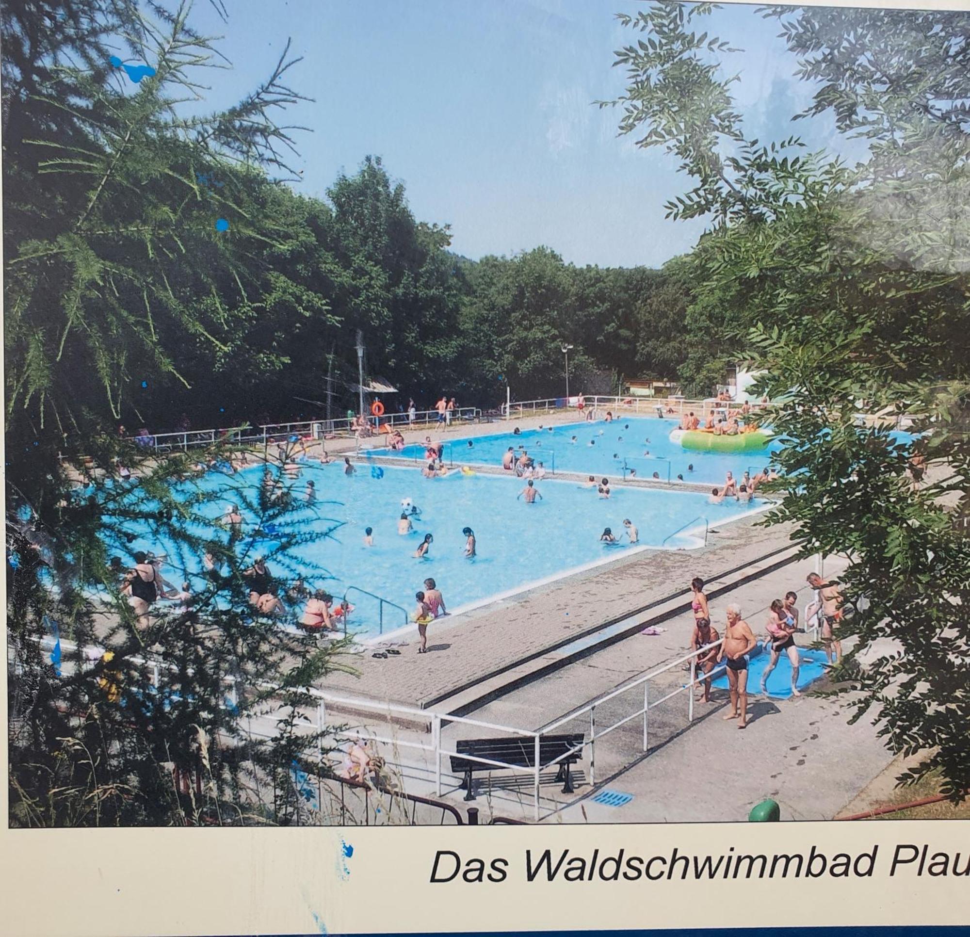 Ferienwohnung Burgblick Plaue  Extérieur photo